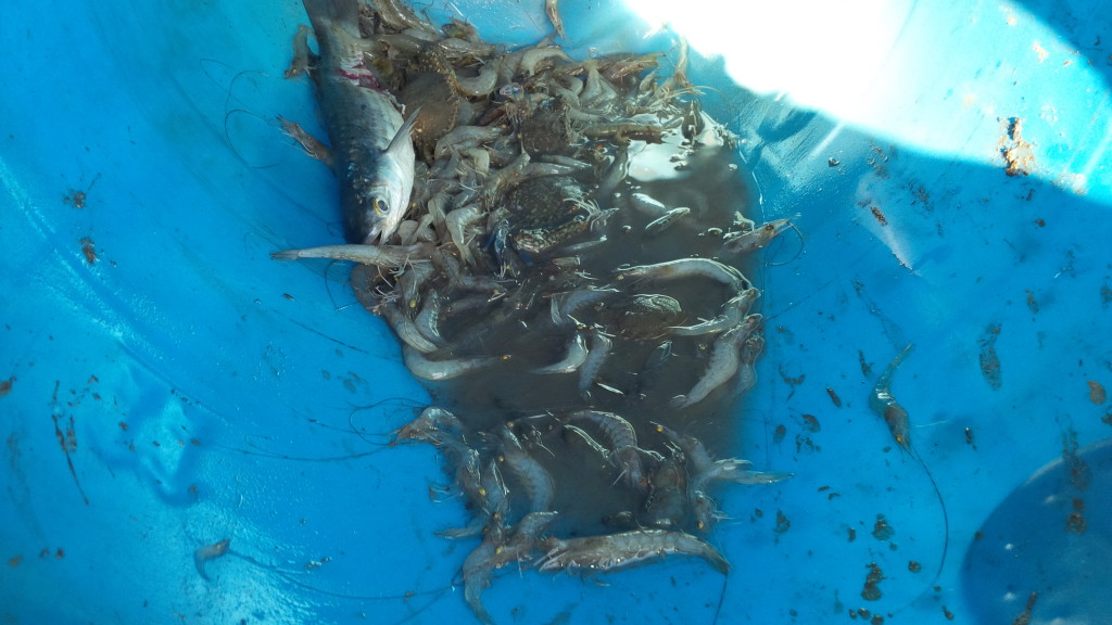 Maaf, tak nampak sangat uangnya sebab ada sotong sudah keluarkan dakwatnya.